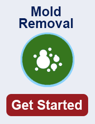 mold remediation in Yorba Linda CA